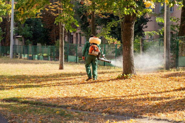 Best Pest Removal Services  in Waukee, IA